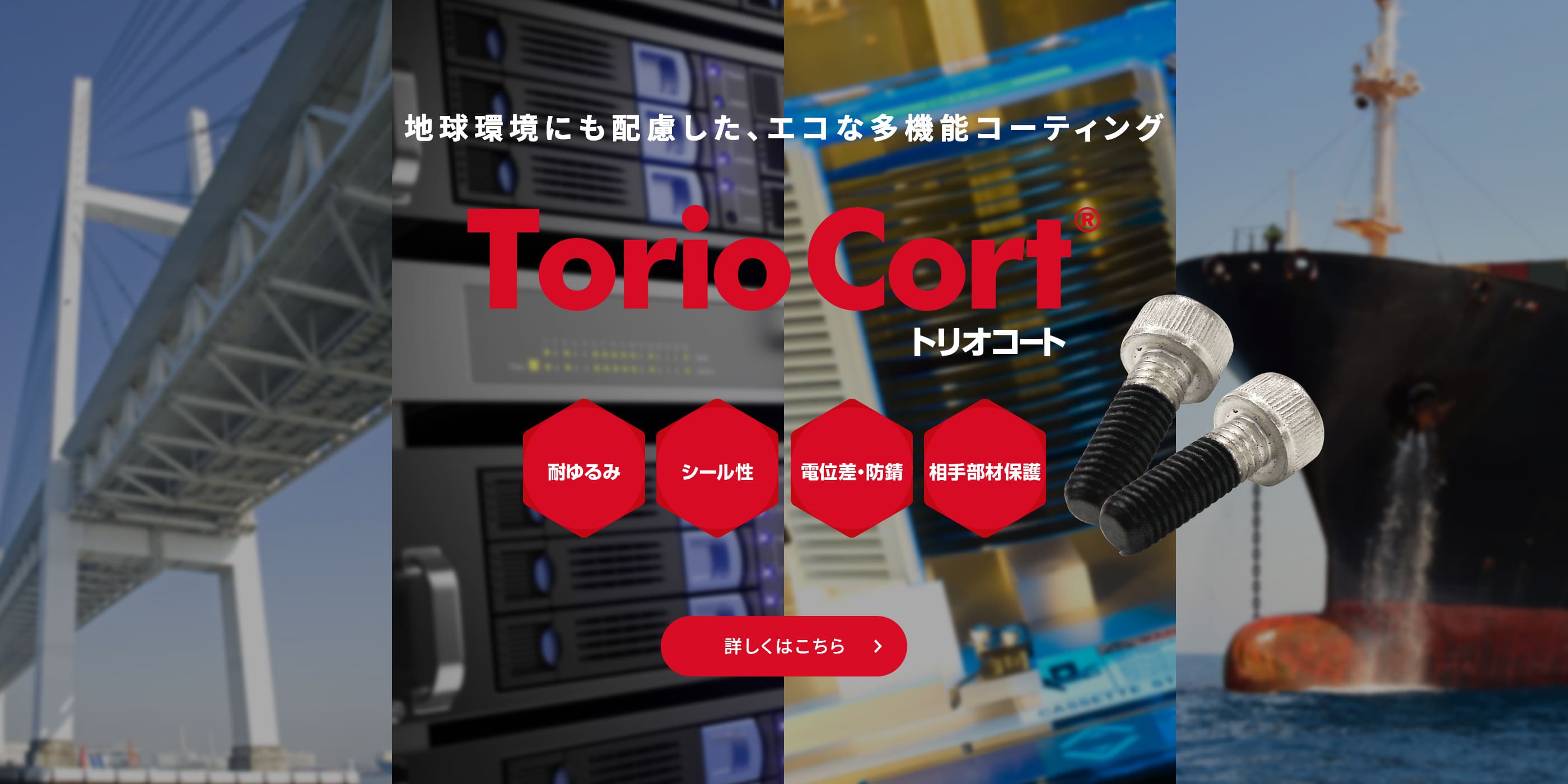 toriocort